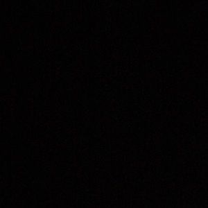 Meet your Posher, Shelby